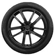 Zimski komplet koles Audi Q5, Q5 Sportback 2025 naprej - 20 col (alu platišča + Pirelli gume) - 4 kosi (8MA07340A9W7S)